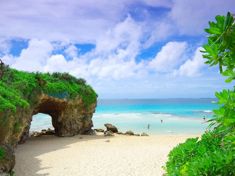 Japonya Turu Kampanya Miat HY