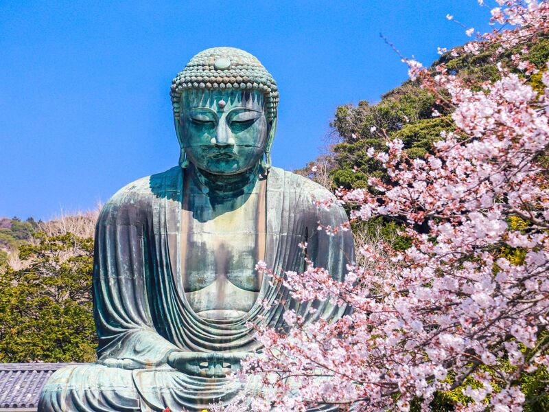 Japonya Turu Kampanya Miat HY