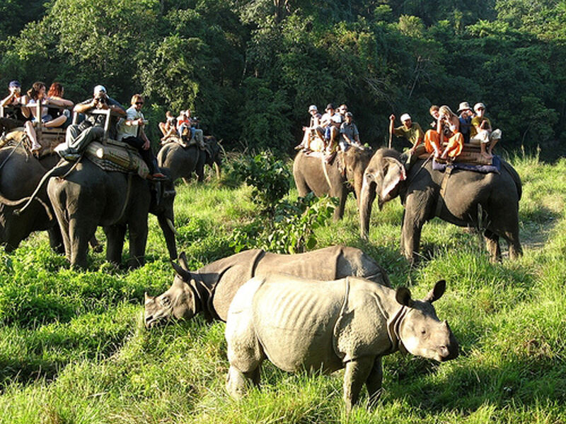 NEPAL BUTAN TURU - JZ