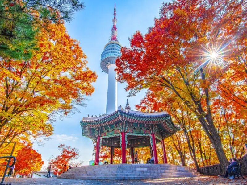 Grand Japonya Kore Turu NRT-ICN THY 27101